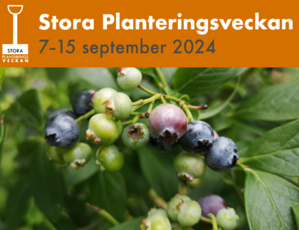 Stora Planteringsveckan