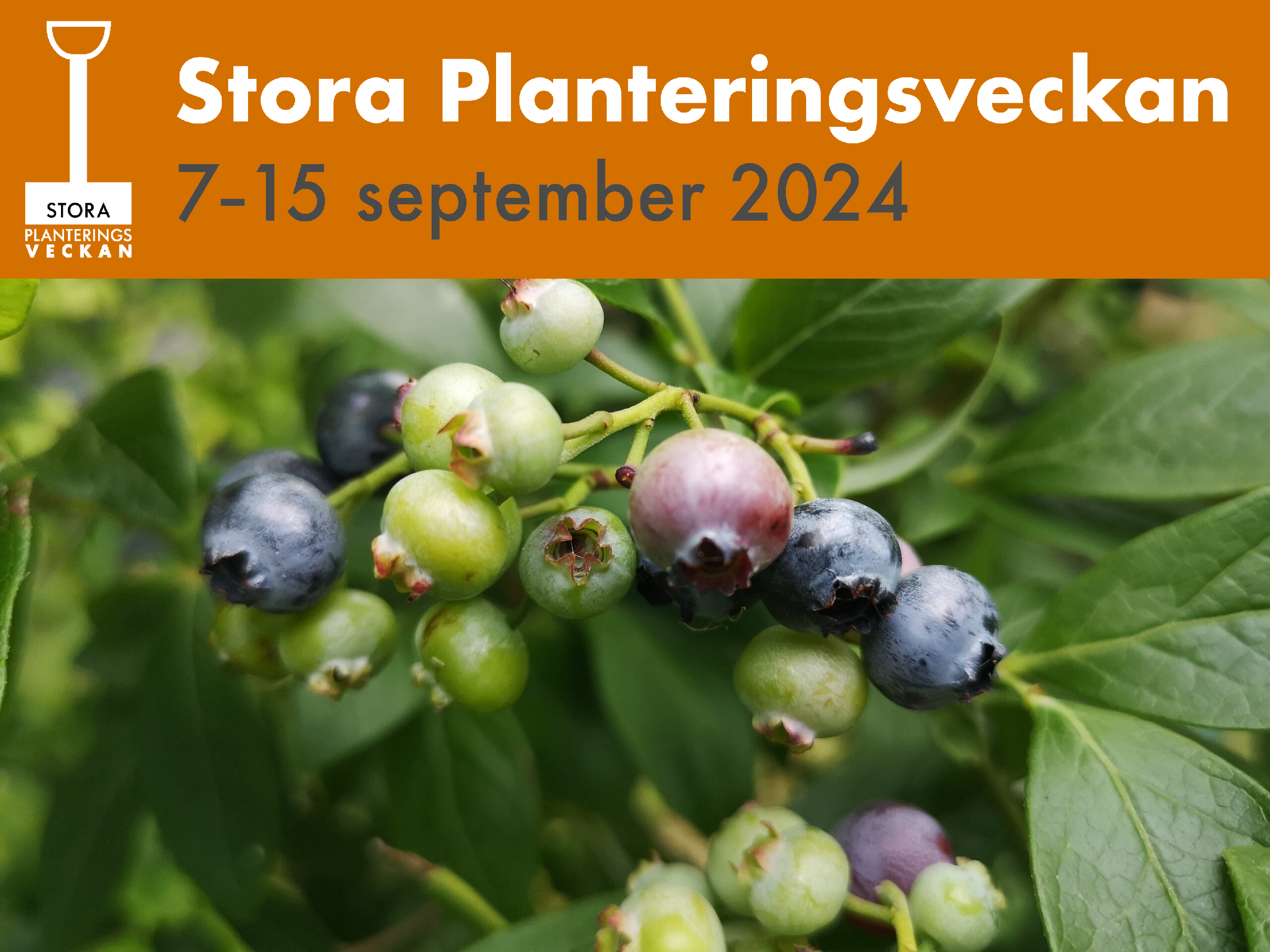 Stora Planteringsveckan